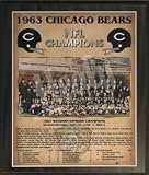 Chicago Bears 1963 Super Bowl Champions Healy Plaque