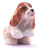 Basset Hound puppy