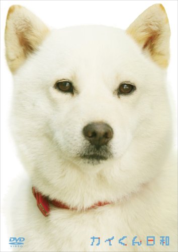 カイくん日和 [DVD]