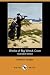 Sheila of Big Wreck Cove (Illustrated Edition) (Dodo Press)