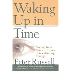 Waking Up in Time: Finding Inner Peace in Times of Accelerating Change