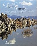 Arte natura. Sabbie, ghiacci, rocce, giunchi e riflessi... (Arte, arredamento, disegno)