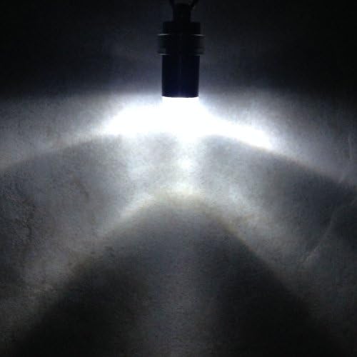 Songkran Mini Party Lights - 12 Waterproof LEDs for Paper Lanterns, Balloons, & Floral - White