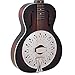 Recording King RR-41-VS Rattlesnake Wood Body Resonator Guitar