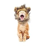 King Lion Mane Wig For Cats Small Dogs Costume Halloween Pet Cosplay with FREE Mouse Toy (While Supplies Last)