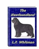 The Newfoundland