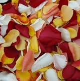 Fresh Rose Petals Sunset