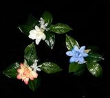 NEW! Tuberose and Maile Clip