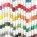 80 Farben Nagellack Nailpolish Glitter mit Fine-Liner Stift 12ml