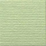 Bazzill Paper - Aloe Vera