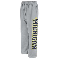 Michigan Wolverines adidas Grey Fleece Sweatpants