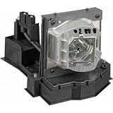 OEM InFocus SP-LAMP-041 Projector Lamp for the IN3102, IN3104, IN3106, IN3902LB, IN3904LB, IN3902, and IN3904 Projectors