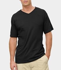 Fruit of the Loom Men's V-Neck T-Shirt