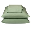 Home 300-Thread-Count Easy Care Sheet Set - Green Bug (TXL)