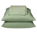 Home 300-Thread-Count Easy Care Sheet Set - Green Bug (TXL)