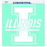 NCAA Illinois Fighting Illini 18-by-18 inch Diecut Decal