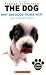 Why Are Dogs' Noses Wet?: And Other True Facts (Artlist Collection: Dogs) by Howie (RTL) Dewin