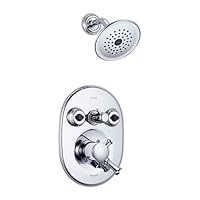 Delta T18240-SS Lockwood Jetted Shower System, Stainless Steel