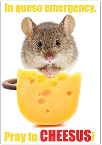 Queso Emergency Birthday Funny Card