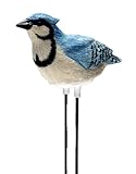 read full review Singing Blue Jay - Plant Pal Soil Moisture Meter (Blue Jay Sings When Plant Is Thirsty!)