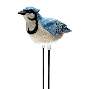 Singing Blue Jay - Plant Pal Soil Moisture Meter (Blue Jay Sings When Plant Is Thirsty!)