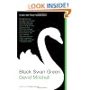 Black Swan Green: A Novel
