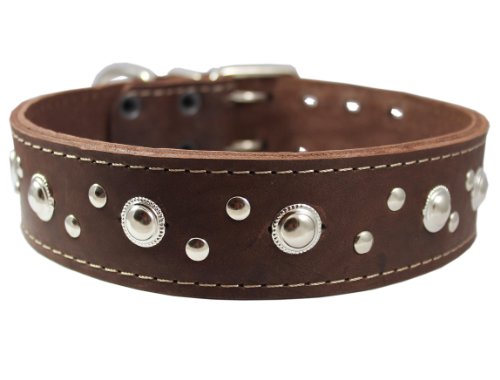 thick pitbull collar