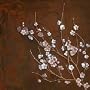 Cherry Blossoms on Cinnabar I Art Poster Print by Janet Tava, 12x12