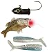Laser Enhanced Fishing Lure - Soft Bait Jig Head (Set of 2)