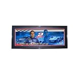 Kurt Busch Panoramic Series Photo