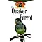 Become a pet bird owner