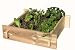 2 Ft. x 2 Ft. Raised Garden Box; Shaker Style