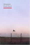 Airspaces (Reaktion Books - Topographics)