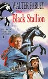 The Black Stallion