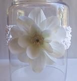 Claribel Baby Flower Headband (White)