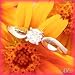 14K Satin/Polished White Gold .20 CT Diamond Engagement Ring