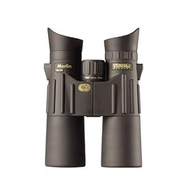 Steiner 10x50 Merlin Binocular