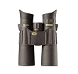 Steiner 10x50 Merlin Binocular