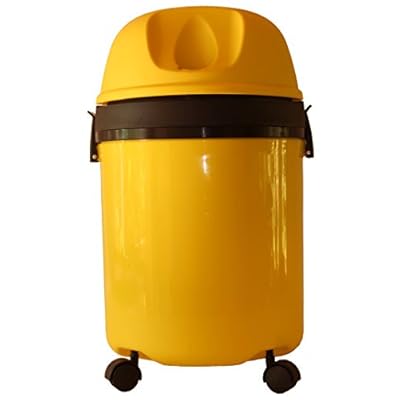 RODAK &quot;CarSpecial 4 30L&quot; Wet and Dry Vacuum Cleaner designed for car interior cleaning.