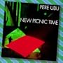 New Picnic Time