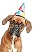 Wallmonkeys Peel and Stick Wall Decals - Boxer Puppy in Party Cone on White Background - 24