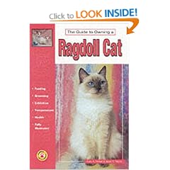 Guide to Owning a Ragdoll Cat