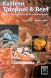 Eastern Tidepool and Reef: North-central Atlantic Marinelife Guide