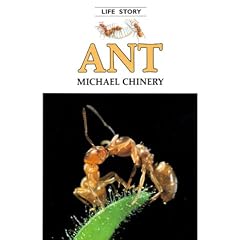 Ant - Pbk (Life Story) (Life Story)