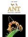 Books : Ant - Pbk (Life Story) (Life Story)
