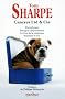 Cancres Limited & Cie : Porterhouse ; Panique � Porterhouse ; Le Cru de la comtesse ; Fumiers et Cie