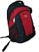 Swissgear Laptop Backpack with More Function See Below.(black and Red).