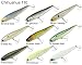 chihuahua3 - Chihuahua 110 Topwater Pencil Lure