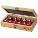 Skil 91006 6-Piece Carbide Router Bit Set in Wooden Storage Case