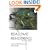 Real-Time Rendering (2nd Edition)